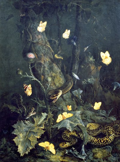 Schlangen und Schmetterlinge, 1670 von Otto Marseus  van Schrieck